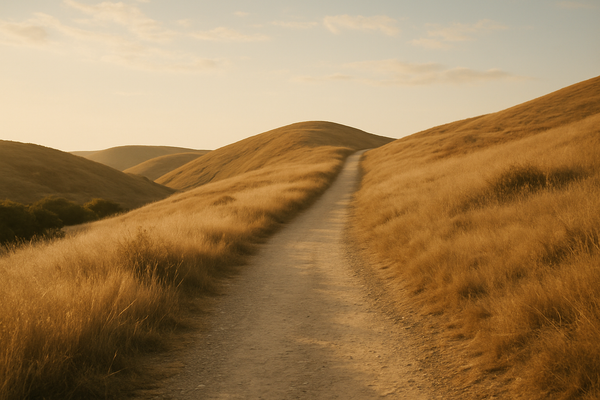 What I Learned After 90 Days of Structured Quiet Time